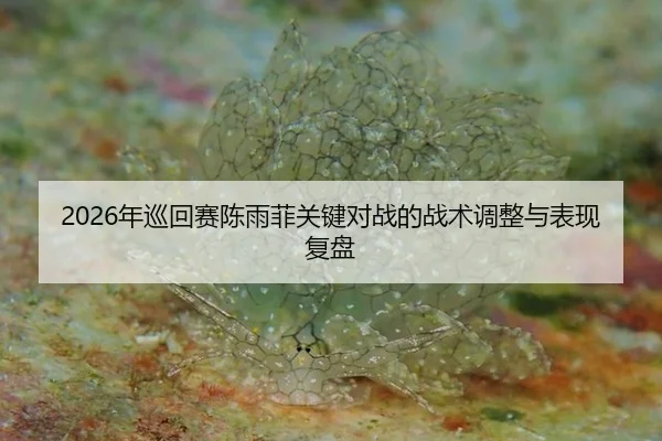 2026年巡回赛陈雨菲关键对战的战术调整与表现复盘